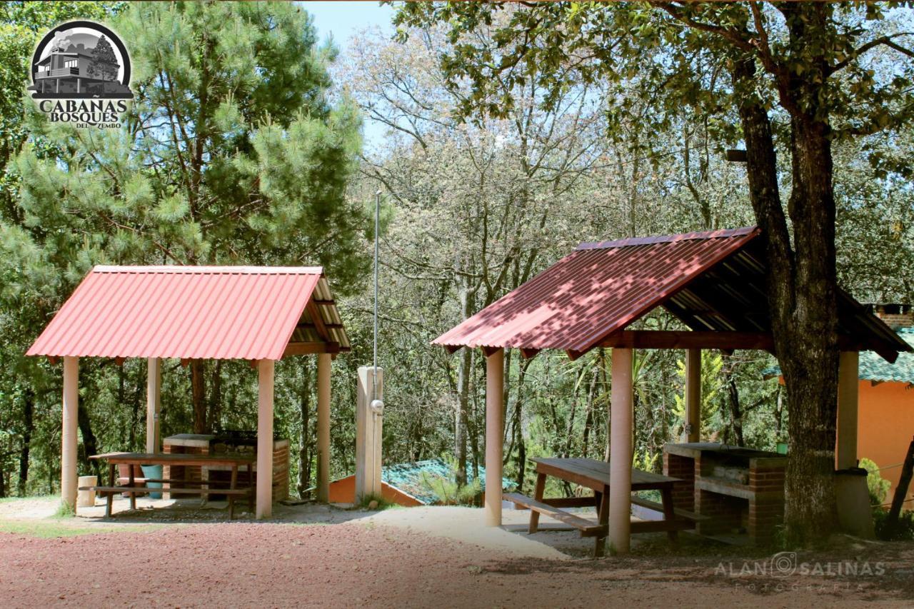 Cabanas Los Bosques Del Zembo Huasca de Ocampo Exterior photo
