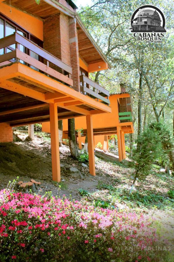 Cabanas Los Bosques Del Zembo Huasca de Ocampo Exterior photo