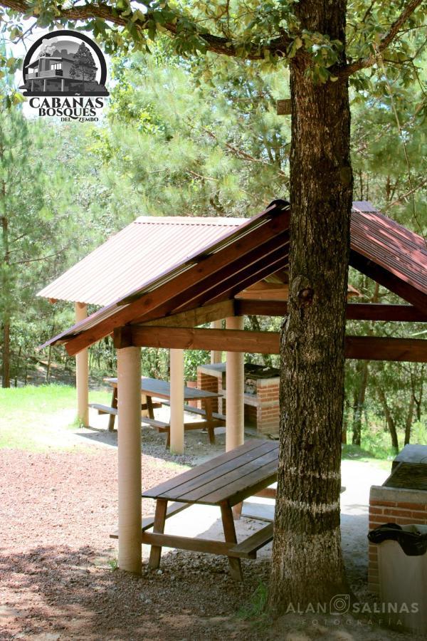 Cabanas Los Bosques Del Zembo Huasca de Ocampo Exterior photo