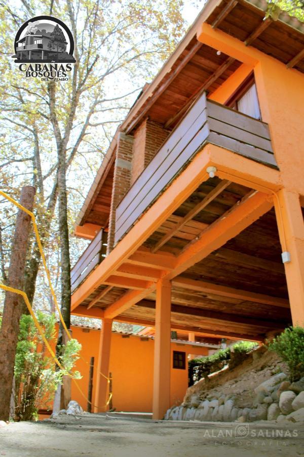 Cabanas Los Bosques Del Zembo Huasca de Ocampo Exterior photo
