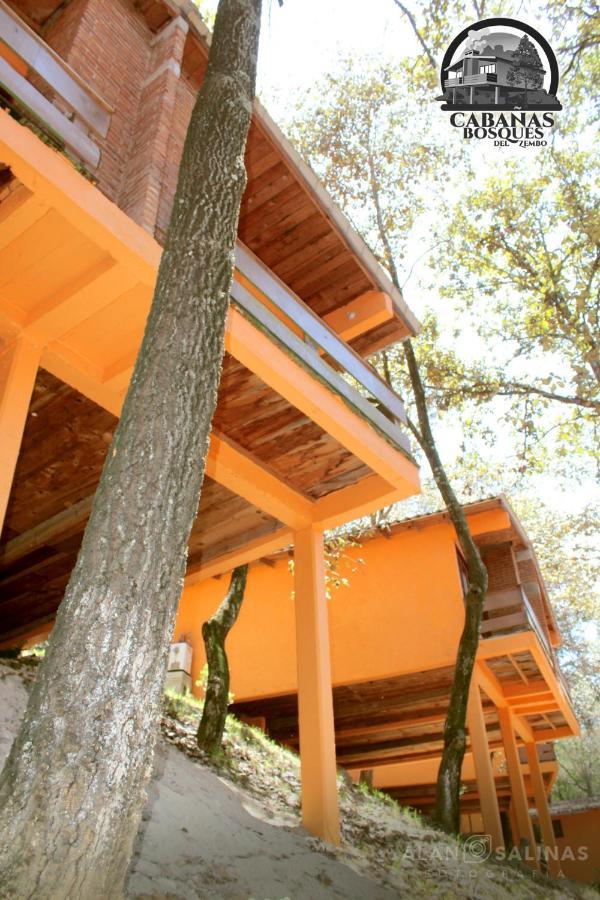 Cabanas Los Bosques Del Zembo Huasca de Ocampo Exterior photo