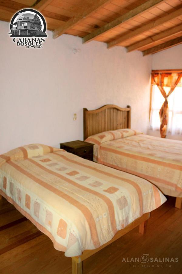 Cabanas Los Bosques Del Zembo Huasca de Ocampo Exterior photo