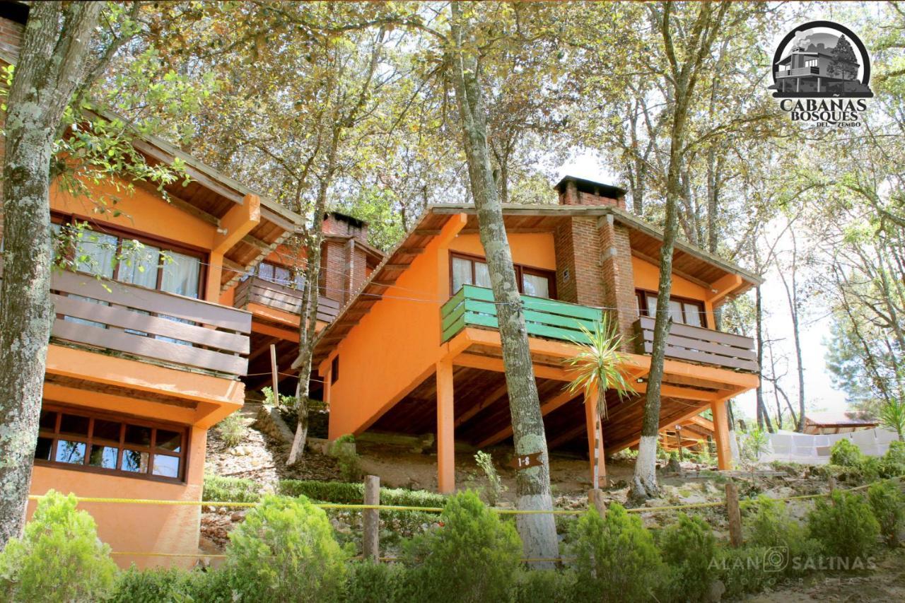 Cabanas Los Bosques Del Zembo Huasca de Ocampo Exterior photo