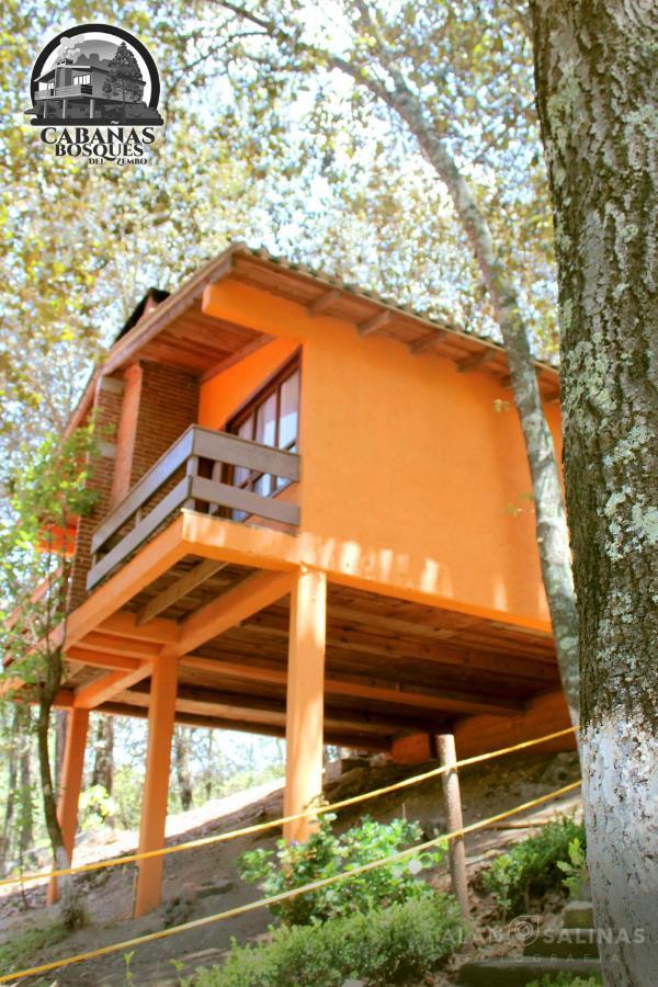 Cabanas Los Bosques Del Zembo Huasca de Ocampo Exterior photo