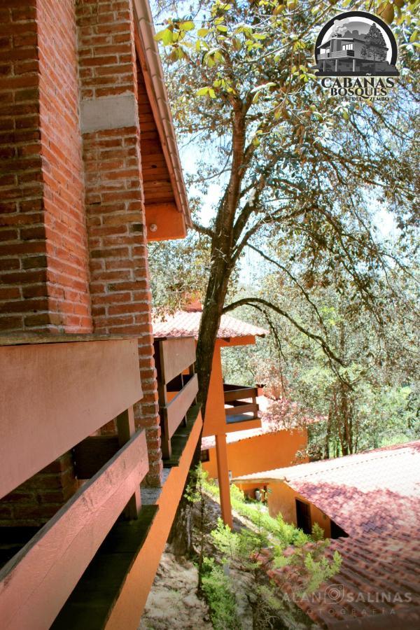 Cabanas Los Bosques Del Zembo Huasca de Ocampo Exterior photo
